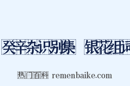 癸辛杂识别集·银花组词是什么意思的图片